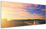 Obraz žltého auta v poli (120x50 cm)
