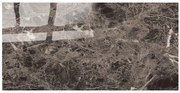 Samolepiaci FLEXI panel PBM-06 60x30 cm lesk