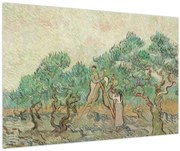 Obraz - Vincent van Gogh, The Olive Orchard, reprodukcia (90x60 cm)