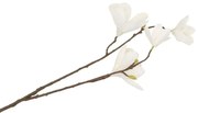 Dekorácia umelá vetvička Magnólie s bielymi kvetmi - 15*7*84 cm