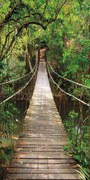 Fototapeta na dvere JUNGLE BRIDGE 86x200 cm