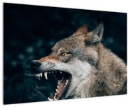 Obraz vlka (90x60 cm)