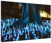 Obraz - Magický strom (90x60 cm)
