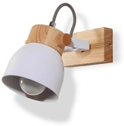 Nástenné bodové svietidlo VIANA 1xE27/60W/230V