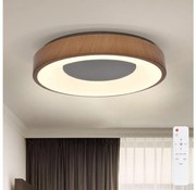 Brilagi - LED Stmievateľné stropné svietidlo DORIA LED/48W/230V 3000-6500K + DO