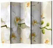 Artgeist Paraván - Orchid Branch [Room Dividers]