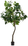 Umelý fikus (výška 210 cm) Ficus – Kave Home