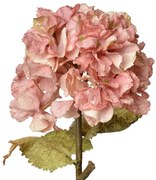 Ružová dekoračná kvetina hortenzie Hydrangea - 10*10*55 cm
