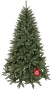 Smrek Kavkazský 180 cm