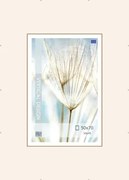 Klipový rám 50x70 cm, číry%