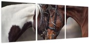 Obraz - Zamilované kone (s hodinami) (90x30 cm)