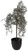 Vianočné dekorácie cédrový stromček v kvetináči Cedar M - 30*30*60 cm
