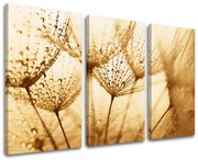 Obraz na stenu KVETY | rôzne rozmery