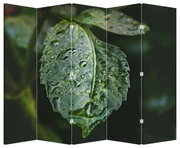 Paraván - Kvapky na liste (210x170 cm)