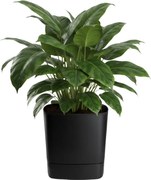 PLASTOVÝ KVETINÁČ CUBI 34X36,5 CM ČIERNA