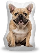 Sablio 3D vankúš Francúzsky buldoček 3