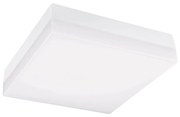 Greenlux LED Kúpeľňové stropné svietidlo LED/18W/230V 3000/4000/6000K 28x28 cm IP44 GXLS287