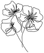 Plagát 29x41 cm Black Poppy – Veronika Boulová