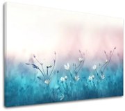 Obraz na stenu BIELE KVETY_156-11 | rôzne rozmery