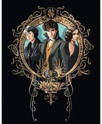 Maľovanie podľa čísel na ráme PORTRÉT 40x50 cm