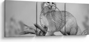 Obraz - Líška šedá (s hodinami) (90x30 cm)