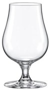 Rona Pohárik na whisky SINGLE MALT 200 ml Varianta: 6 ks
