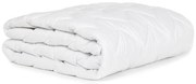 Chránič matraca 200x200 cm Protect – Bonami Essentials
