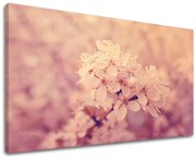 Obraz na stenu KVETY | rôzne rozmery