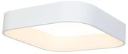 Stropné LED svietidlo Astro, 1x LED 40w, 3000-4000k, w