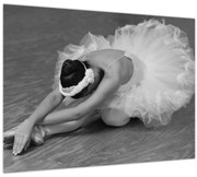 Obraz - Baletka, čiernobiela (70x50 cm)