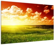 Obraz lúky so žiariacim slnkom (90x60 cm)