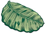 Zelená kúpeľňová predložka 60x100 cm Sheet – Foutastic