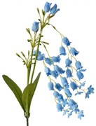 Dekorácia modrá umelá kvetina zvonček Bells Bouquet - 15*6*80 cm