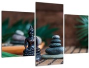 Obraz - Rovnováha (90x60 cm)