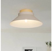 Eglo 900736 - Stropné svietidlo MOHARRAS 1xE27/40W/230V