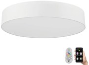 Eglo 32351 - LED RGBW Stmievateľné stropné svietidlo ROMAO-C LED/42W/230V + DO EG32351