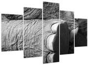 Obraz - Slonia noha (150x105 cm)