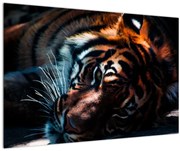 Obraz ležiaceho tigra (90x60 cm)