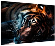 Obraz ležiaceho tigra (90x60 cm)