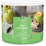 Vonná sójová sviečka doba horenia 35 h Apple Gathering – Goose Creek