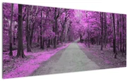 Obraz - Cesta parkom (120x50 cm)