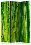 Artgeist Paraván - Bamboo Forest [Room Dividers]