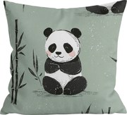 Obliečka na vankúš z mikrovlákna PANDA RELAX 45x45 cm, mentolová