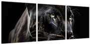 Obraz - Čierny panter (s hodinami) (90x30 cm)