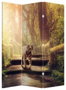 Paraván - Tiger (126x170 cm)