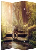 Paraván - Tiger (126x170 cm)