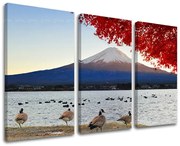 Obraz na stenu KRAJINA | rôzne rozmery