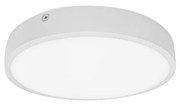 Palnas 61003580 - LED Kúpeľňové stropné svietidlo EGON LED/30W/230V IP44 3000K