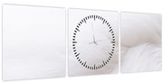 Obraz - Detail pierka (s hodinami) (90x30 cm)