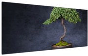 Obraz - Bonsai (120x50 cm)